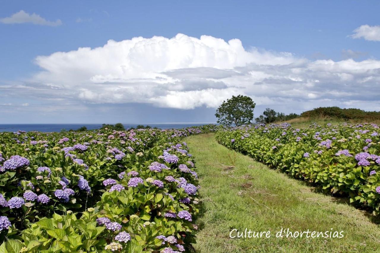 Epiphytes Et Succulentes Apartment Paimpol ภายนอก รูปภาพ