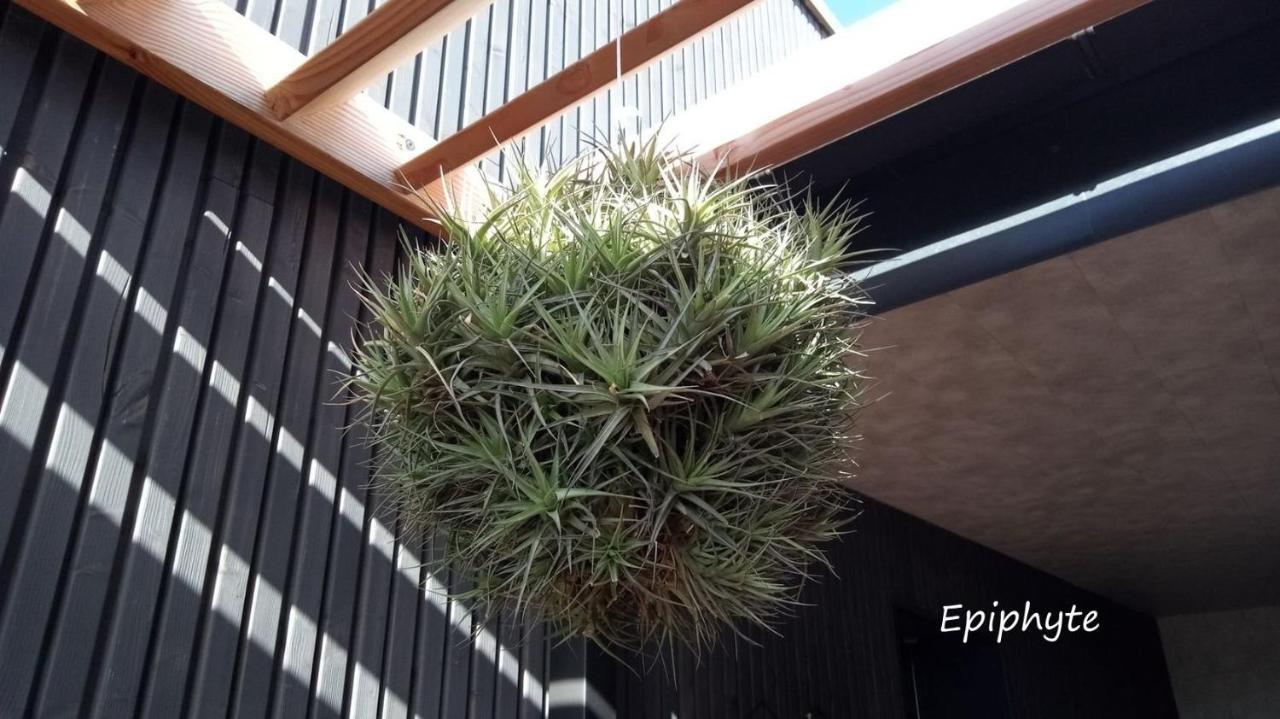 Epiphytes Et Succulentes Apartment Paimpol ภายนอก รูปภาพ